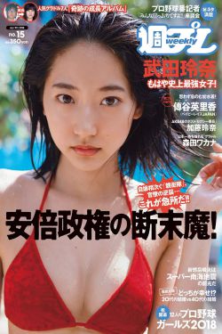 6080理论